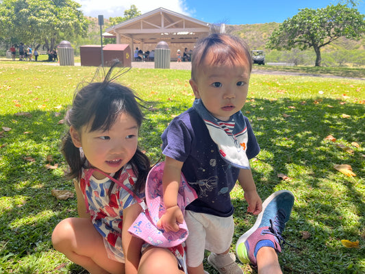 ハワイ旅行でキッズトラベル（折りたたみ）